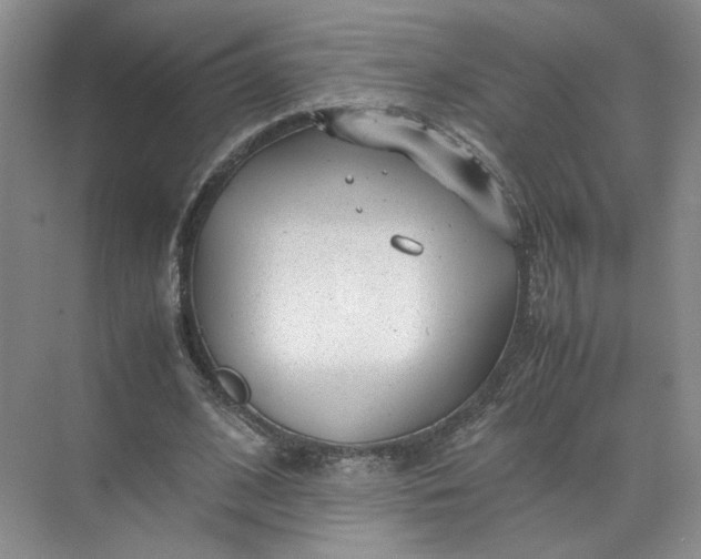 X0000072530584200607290226