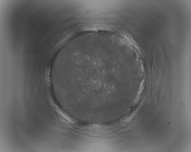 X0000072530585200607290226