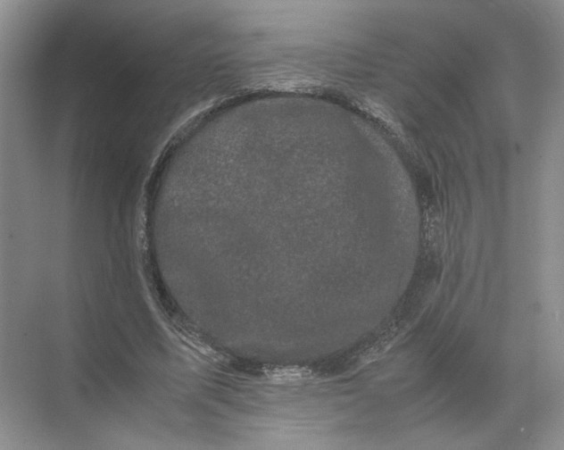 X0000072530587200607290226