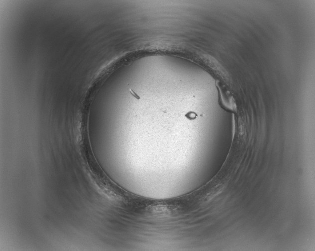 X0000072530588200607290226