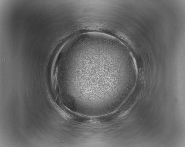 X0000072530589200607290226