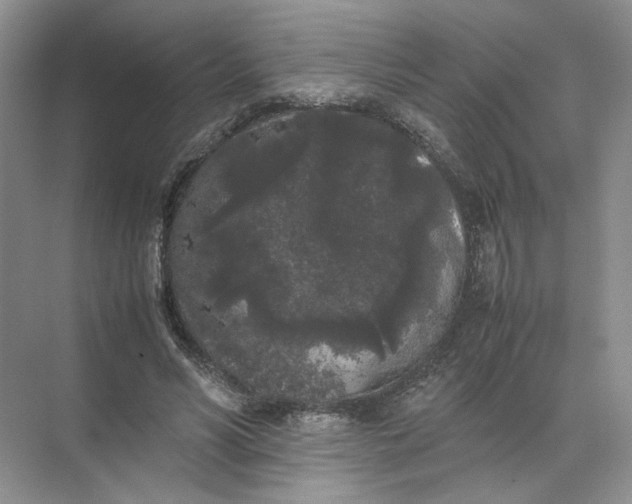 X0000072530590200607290226