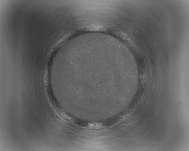 X0000072530591200607290226