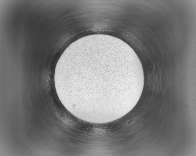 X0000072530592200607290226