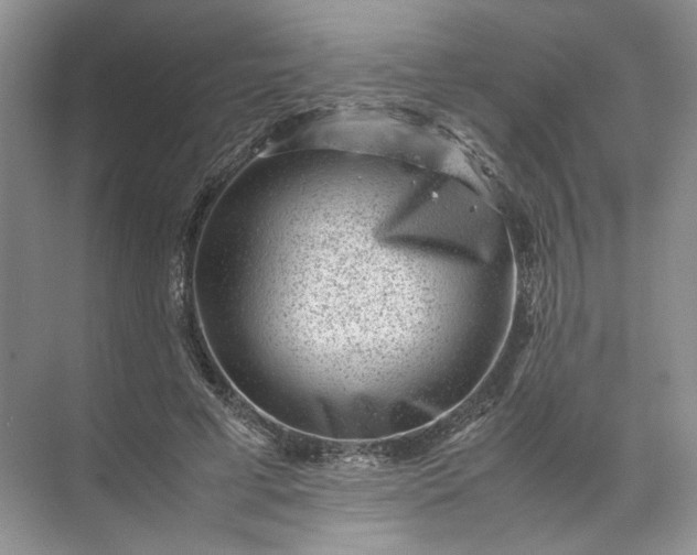 X0000072530593200607290226