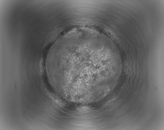 X0000072530594200607290226