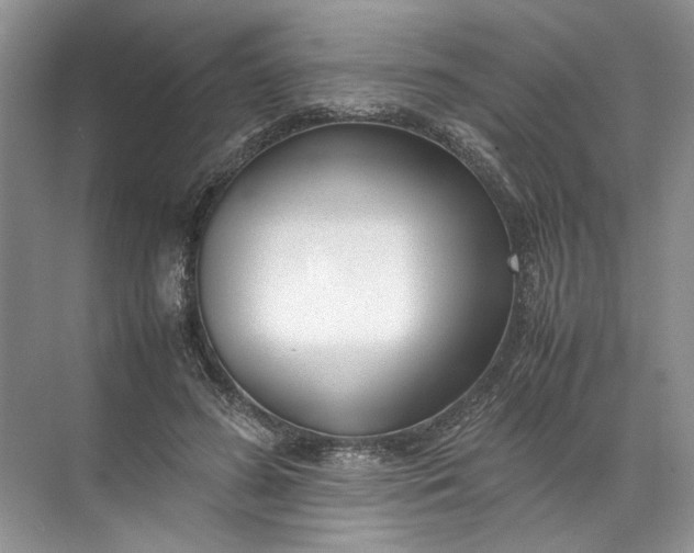 X0000072530596200607290226