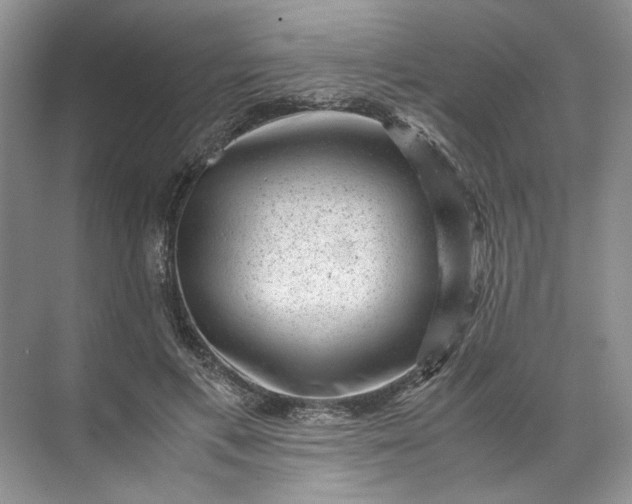 X0000072530597200607290226