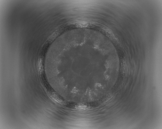 X0000072530598200607290226