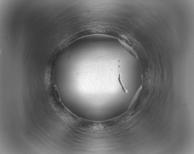 X0000072530600200607290226