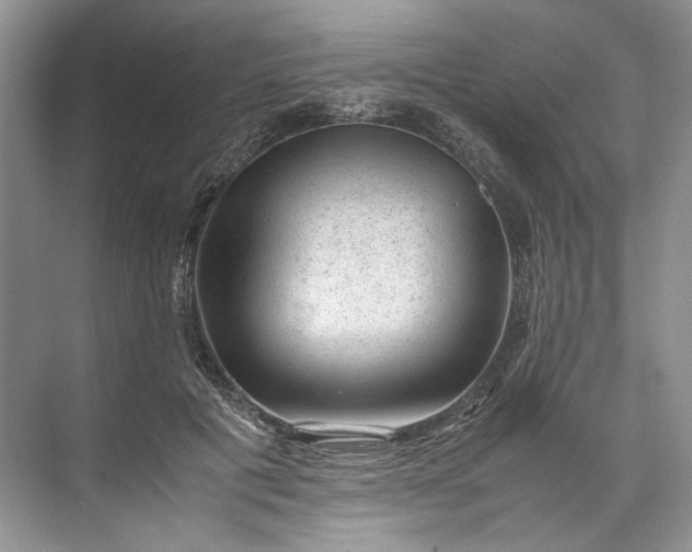 X0000072530601200607290226