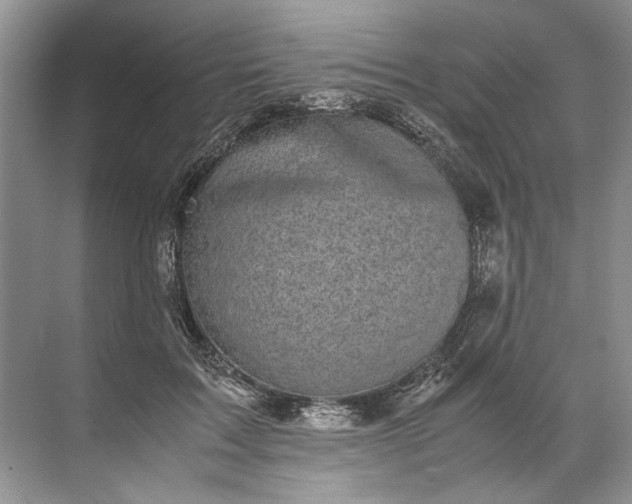 X0000072530603200607290226