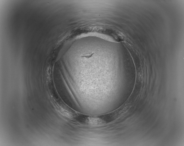 X0000072530605200607290226