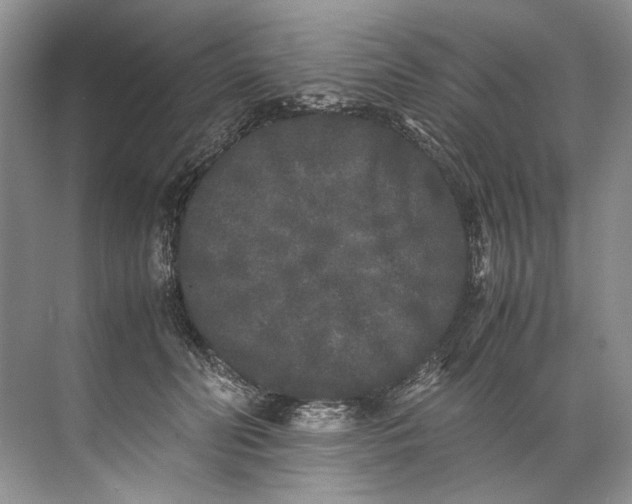 X0000072530606200607290226