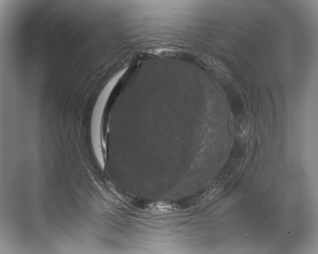 X0000072530607200607290226