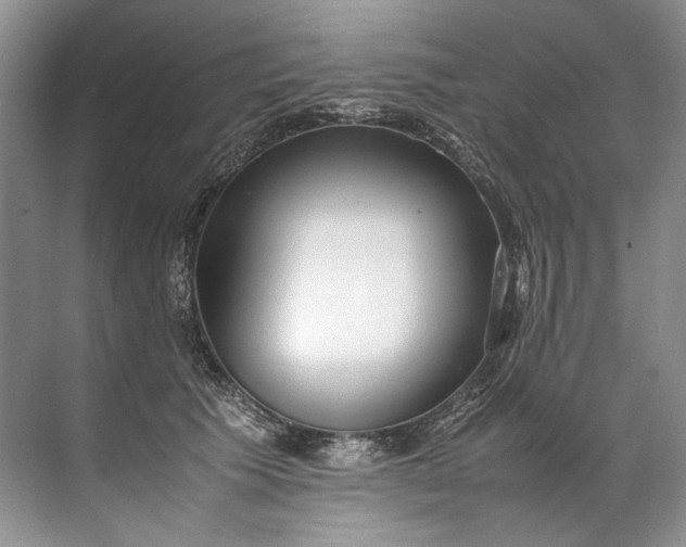 X0000072530609200607290226