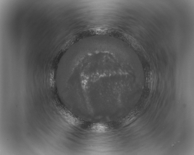 X0000072530610200607290226