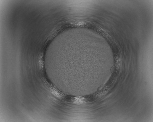 X0000072530612200607290226