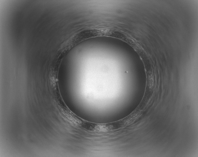 X0000072530613200607290226