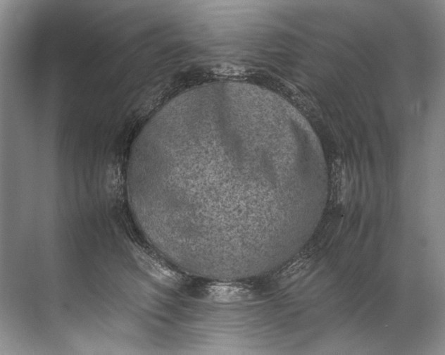 X0000072530614200607290226