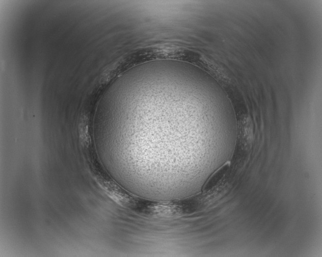 X0000072530615200607290226