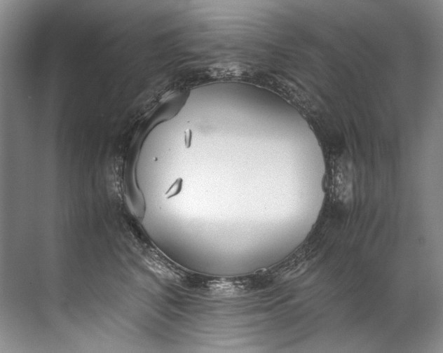 X0000072530616200607290226