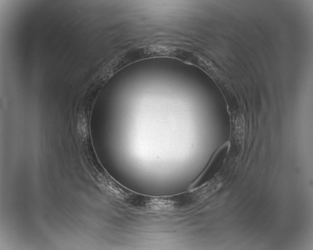 X0000072530617200607290226