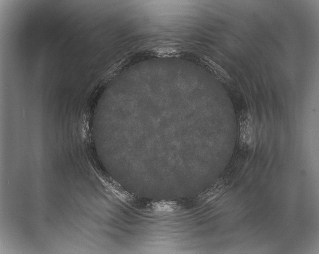 X0000072530618200607290226