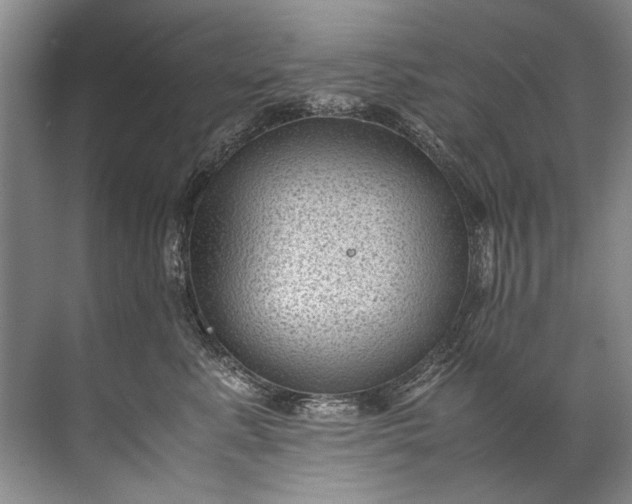 X0000072530619200607290226