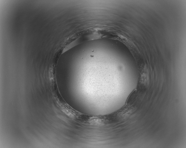 X0000072530620200607290226