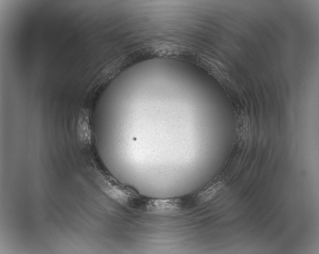 X0000072530622200607290226