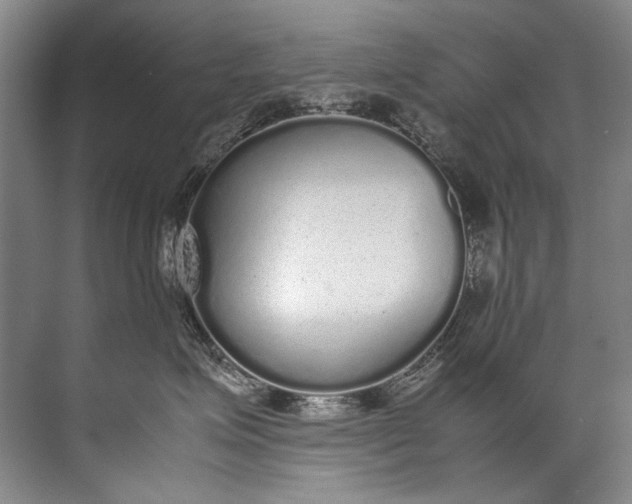 X0000072530623200607290226