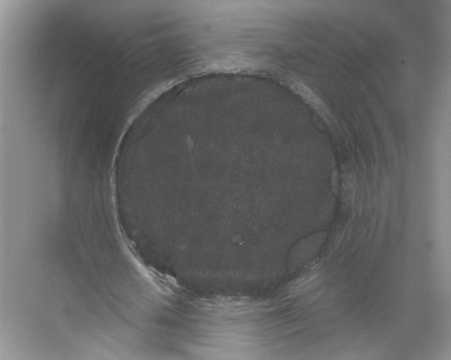 X0000072530626200607290225