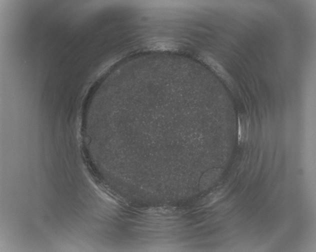 X0000072530627200607290225