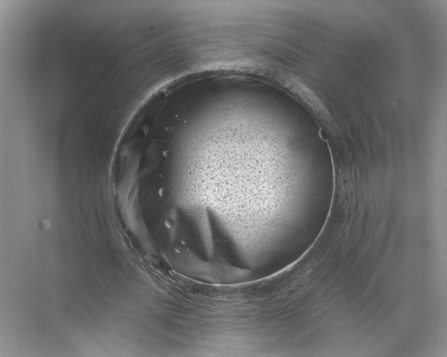 X0000072530628200607290225