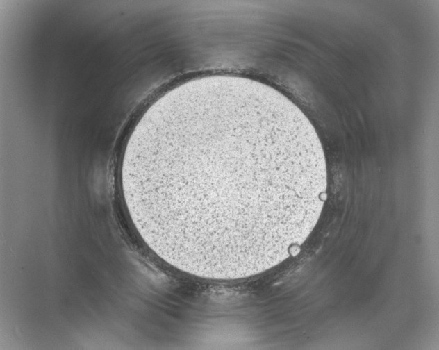 X0000072530632200607290225