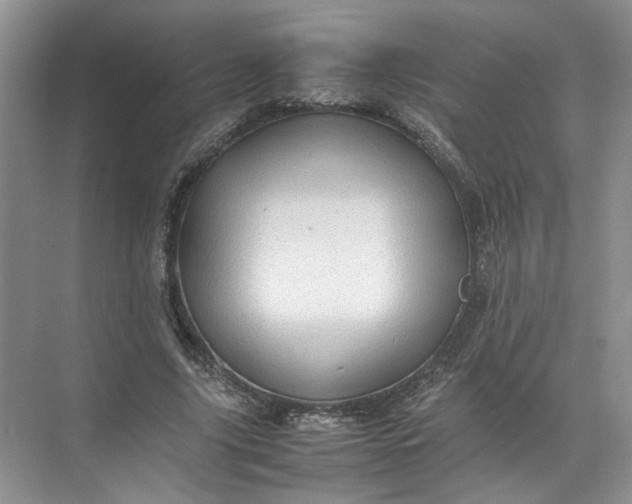 X0000072530635200607290225