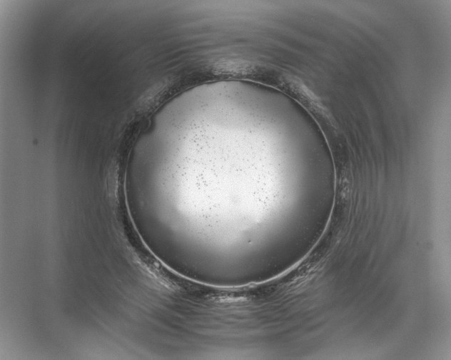 X0000072530637200607290225