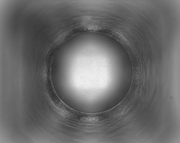 X0000072530639200607290225