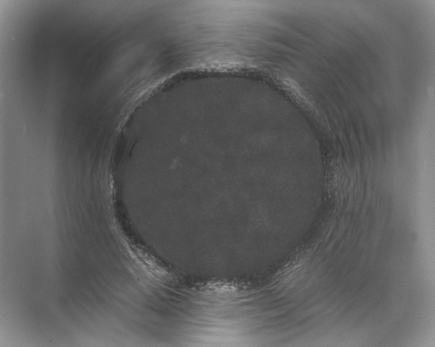 X0000072530640200607290225