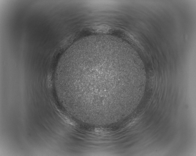 X0000072530641200607290225