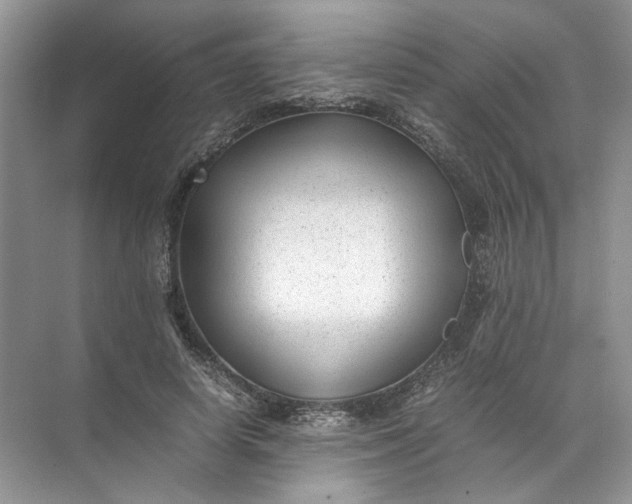 X0000072530642200607290225