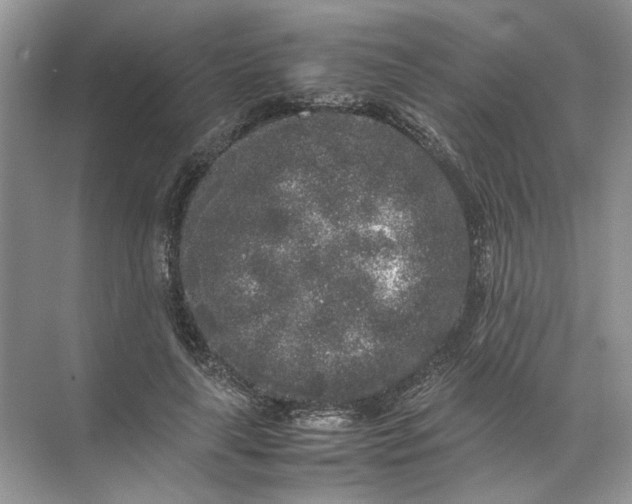 X0000072530643200607290225