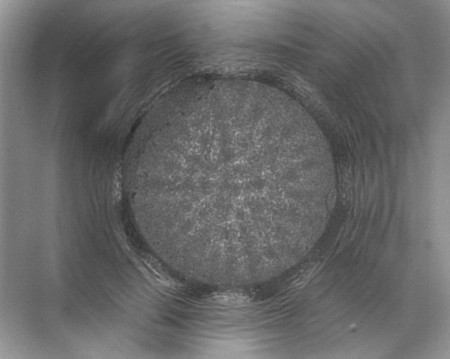 X0000072530644200607290225