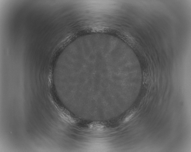 X0000072530648200607290225