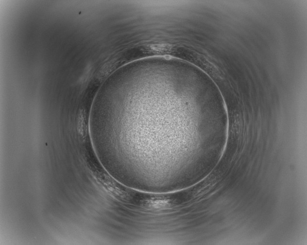 X0000072530651200607290225