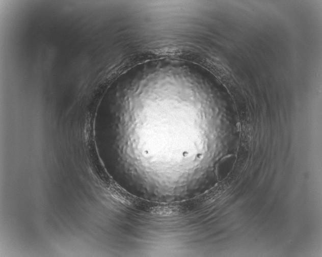 X0000072530652200607290225