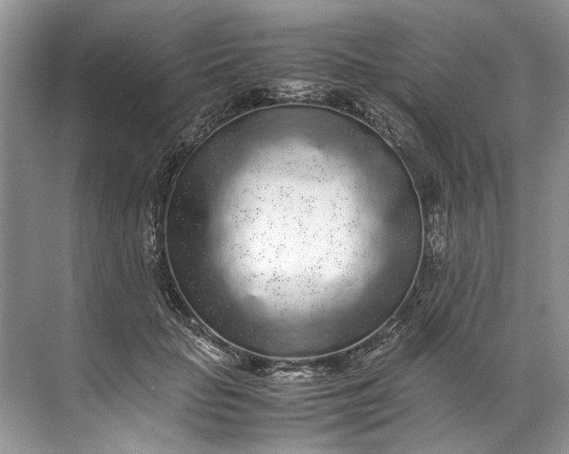 X0000072530653200607290225