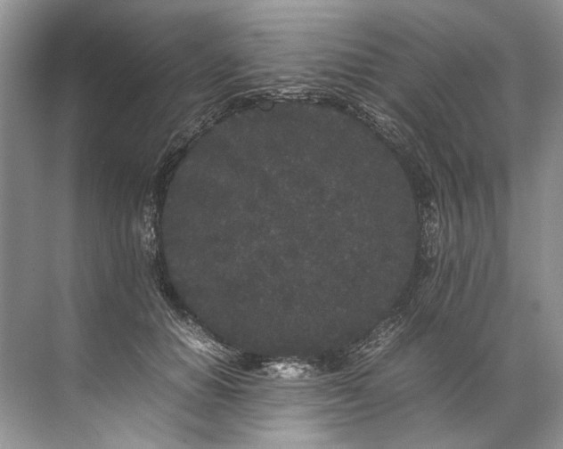 X0000072530654200607290225