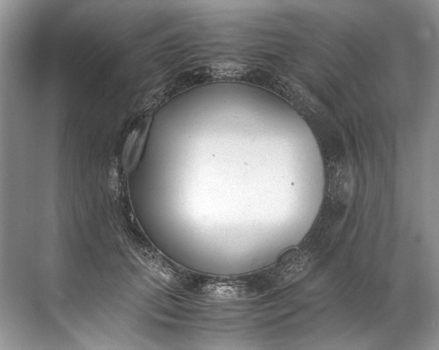 X0000072530655200607290225